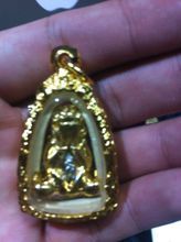 【蜂王掩面】最新最全蜂王掩面 產品參考信息