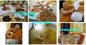 泰國蝴蝶佛牌 古巴大師精品金身蝶神的靈性與魅力